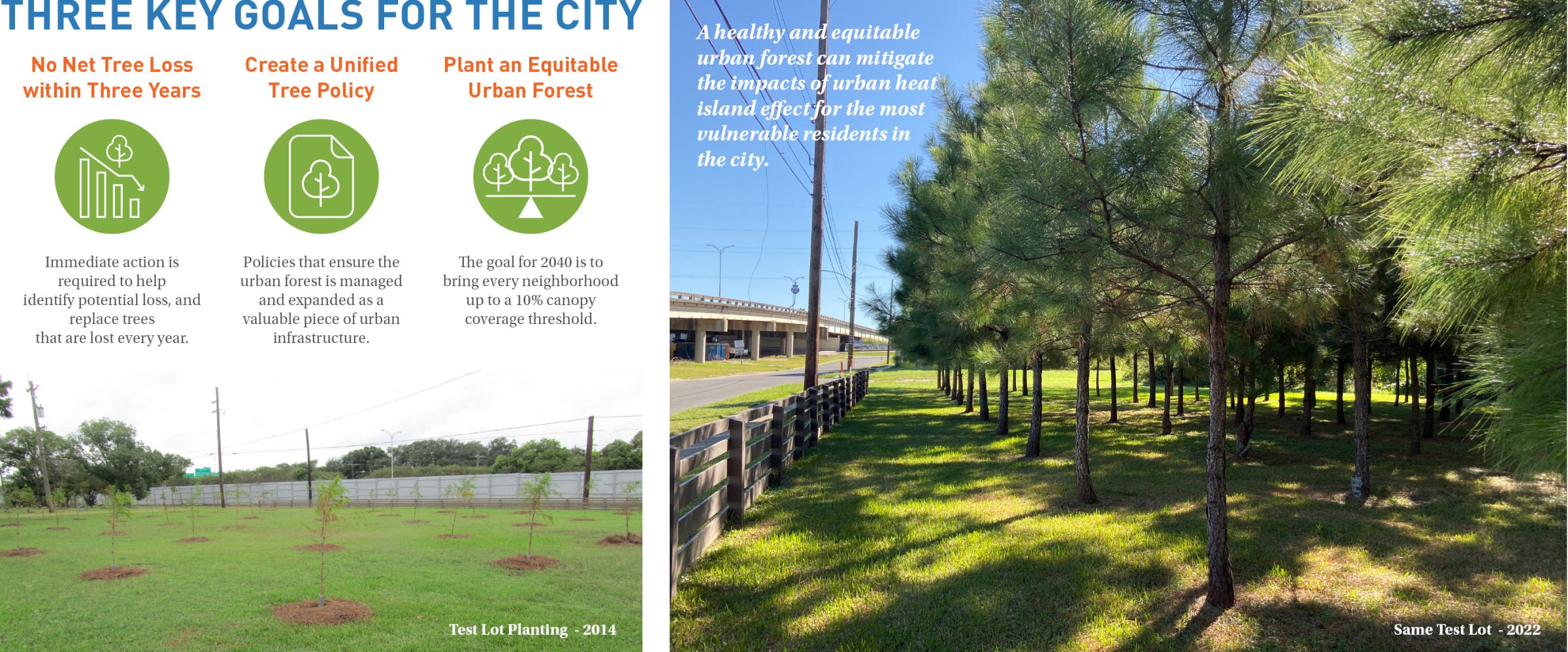 Slide with plans and sections and photos of trees, as part of the New Orleans Reforestation Plan