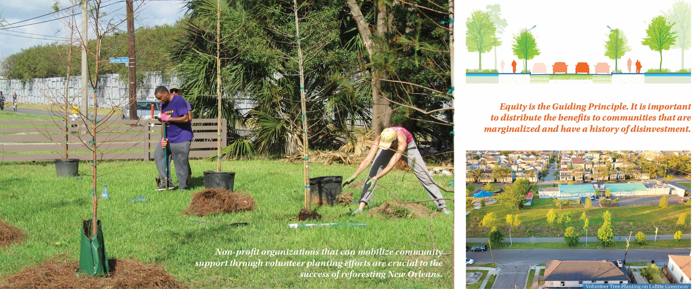 Slide with plans and sections and photos of trees, as part of the New Orleans Reforestation Plan