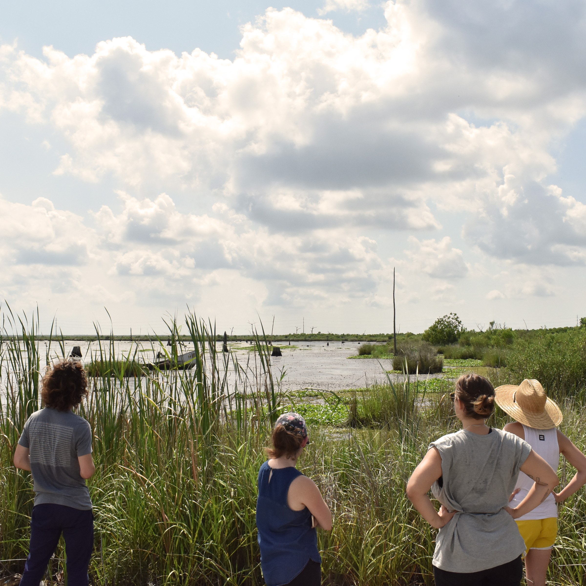 Four people looking out into the marshland 