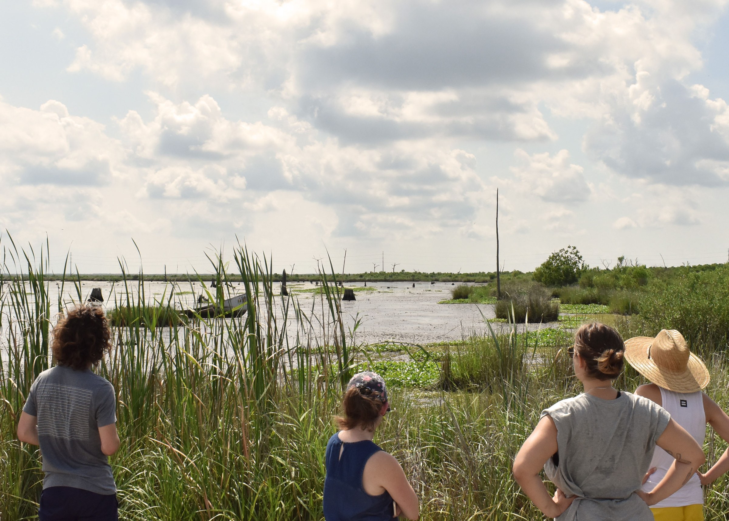 Four people looking out into the marshland