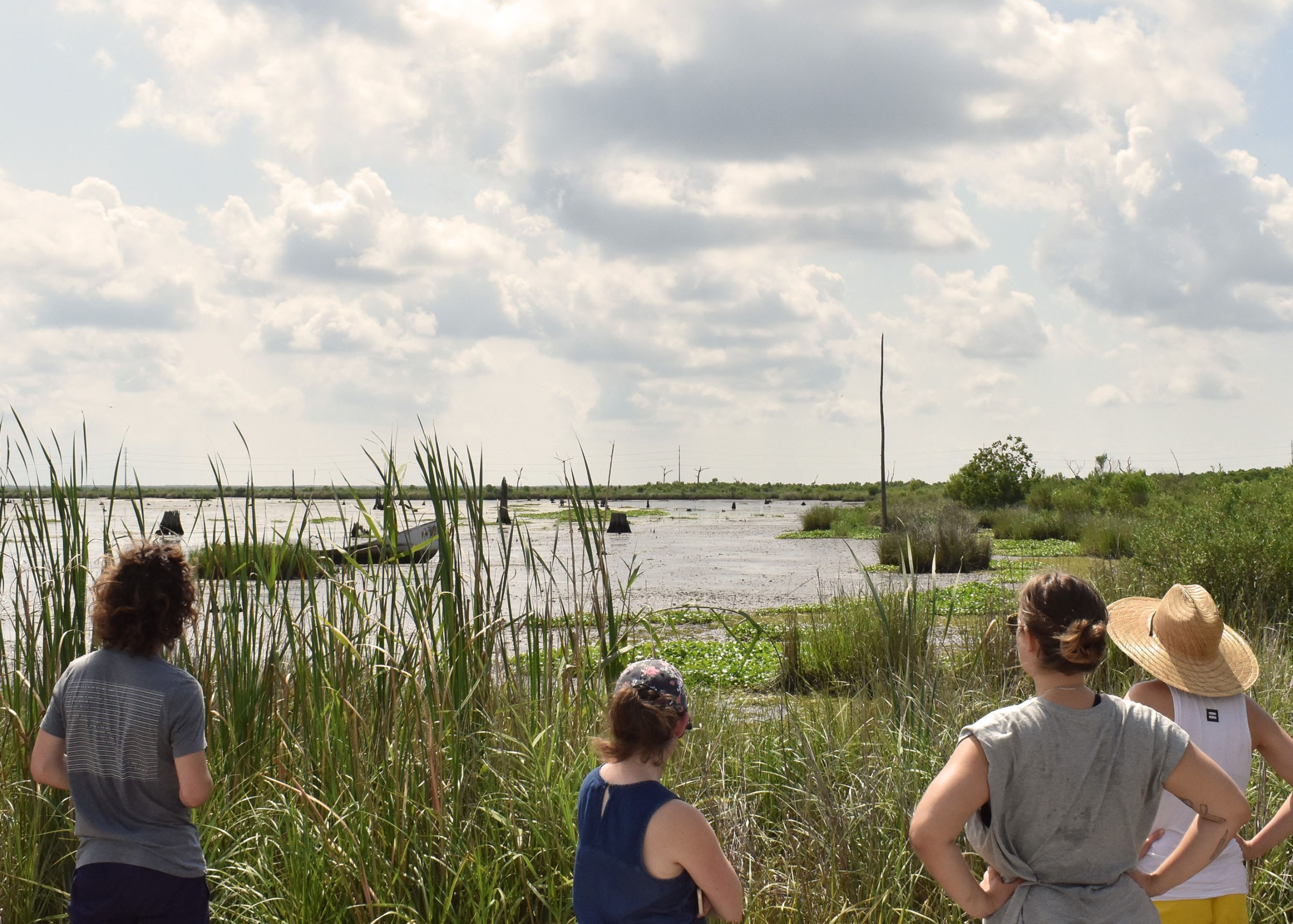 Four people looking out into the marshland 