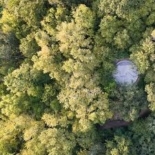top view of a forest with the stone circle on the ground