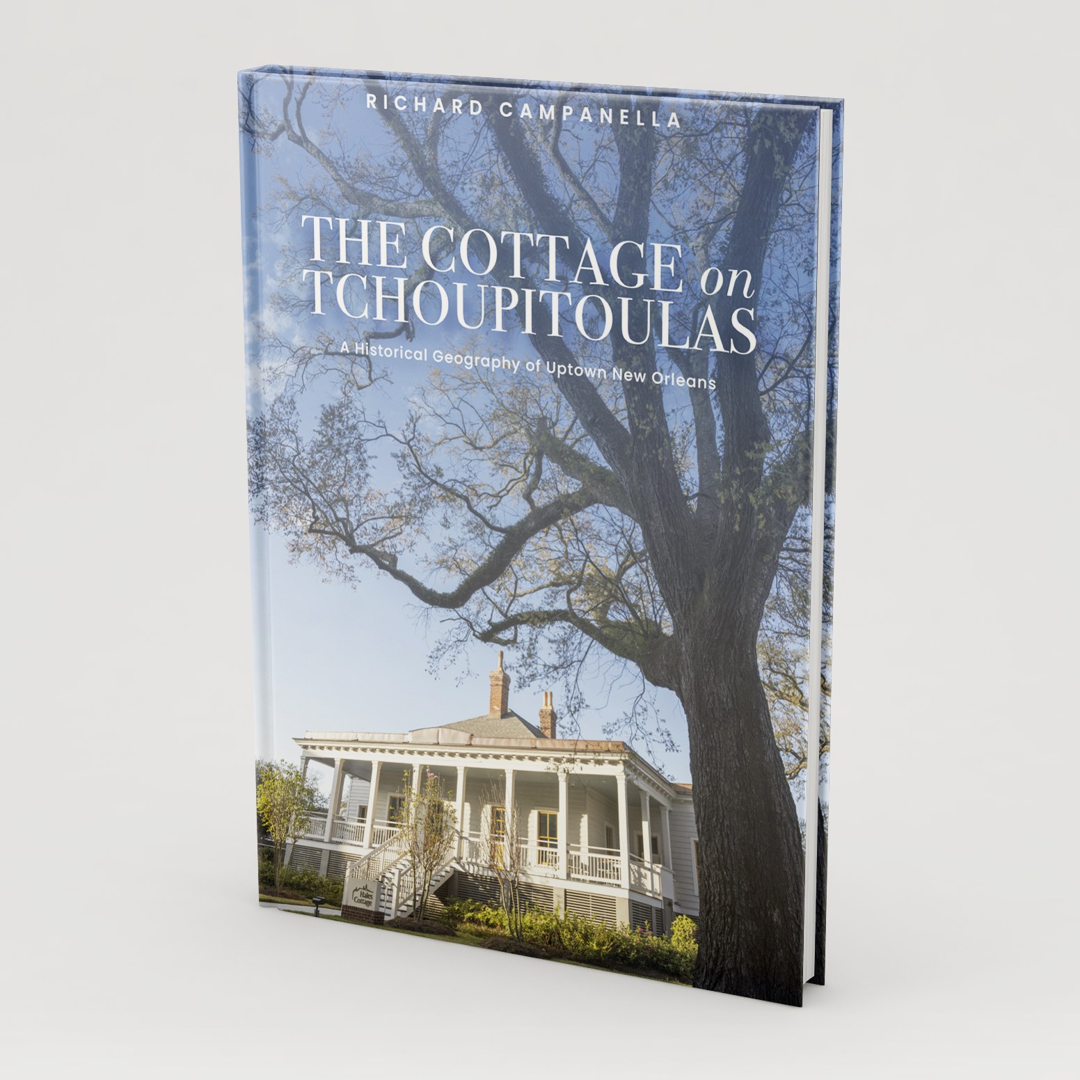 image of the book cover of The Cottage on Tchoupitoulas