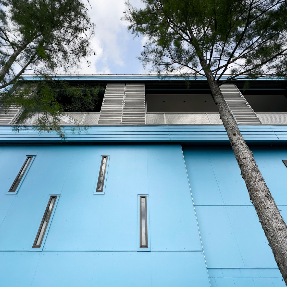 picture of blue house angled from below, trees going upward