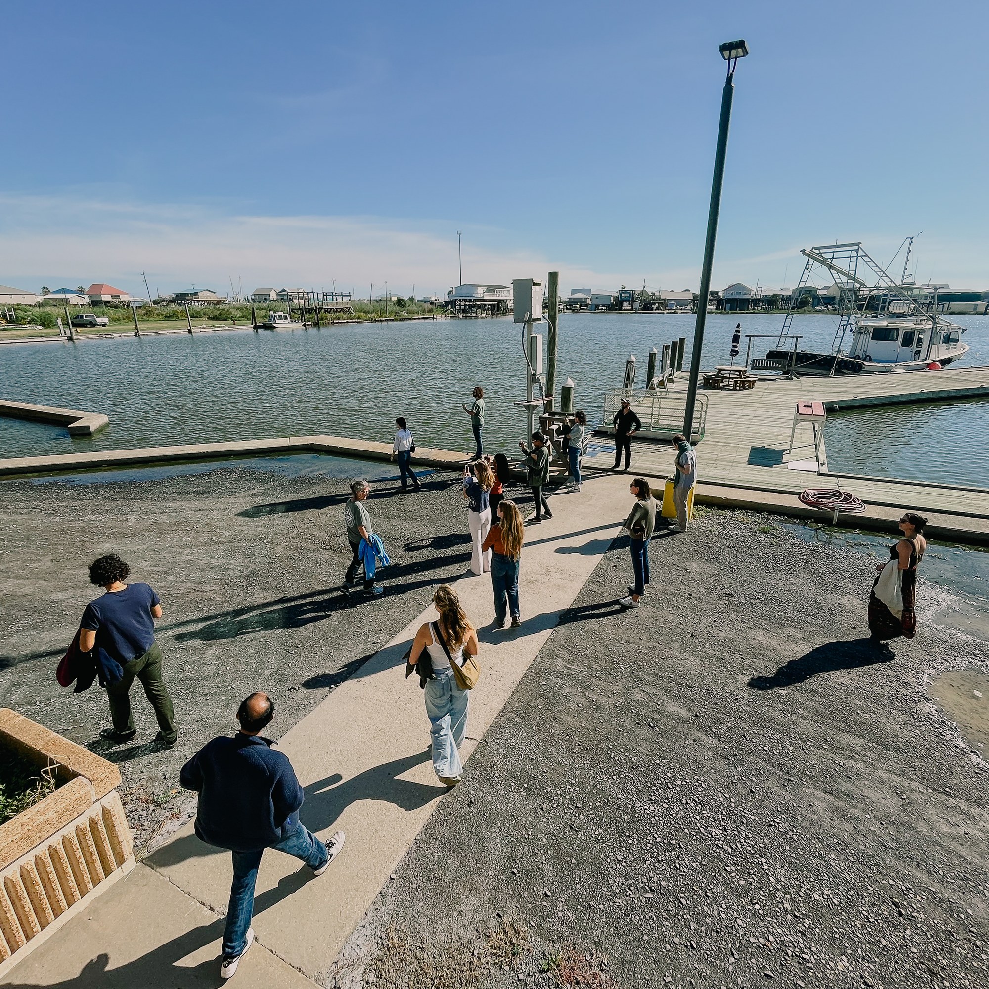 picture of people walking around a dock curiously 