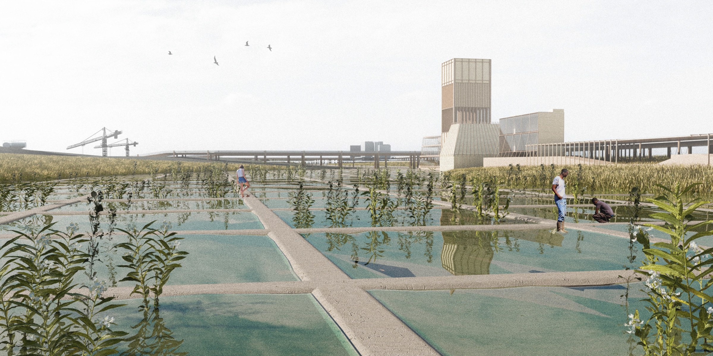 Digital Perspective of New Industry Museum and Wetland Factory