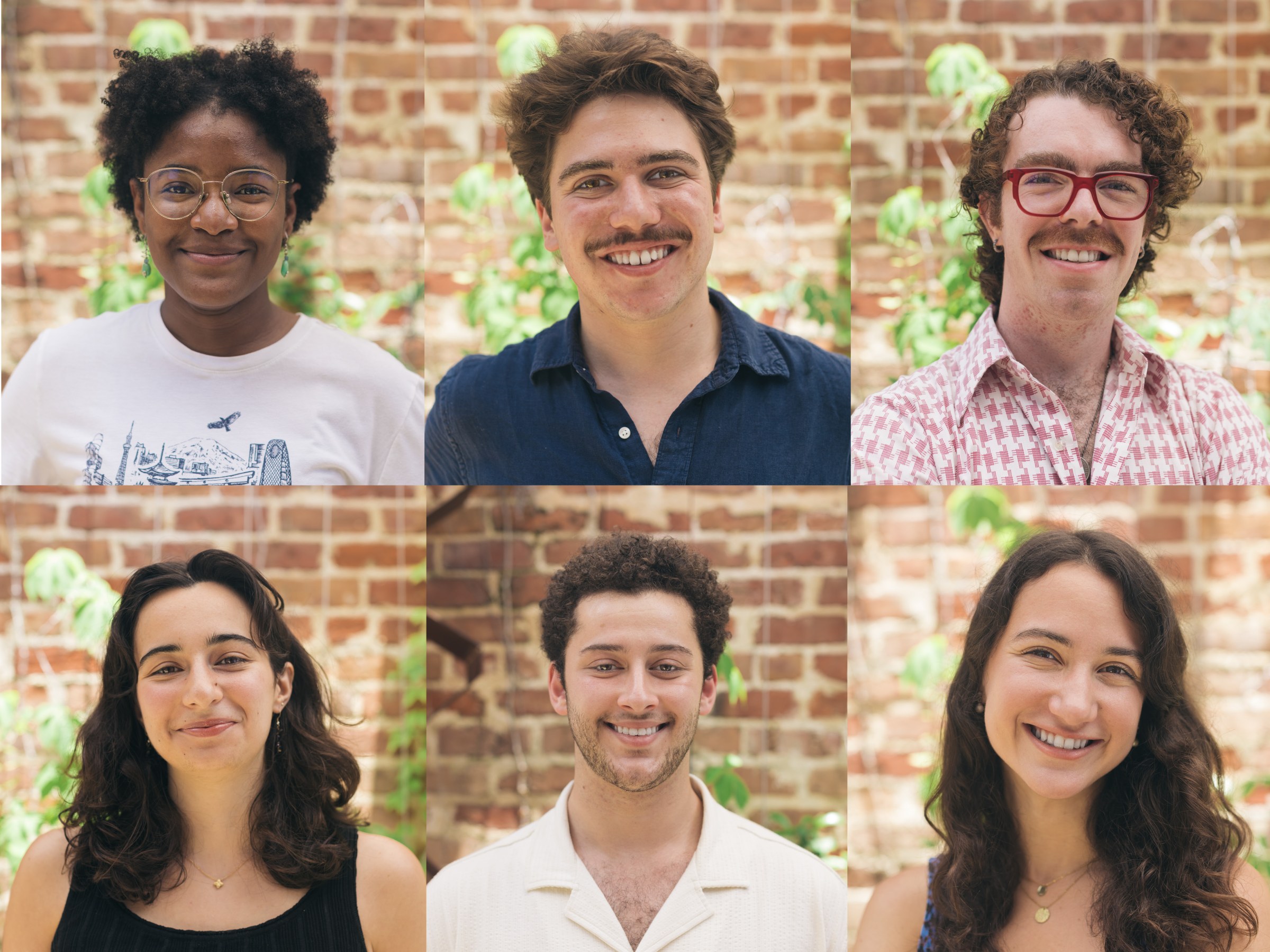 collage of the six summer fellows and their headshots