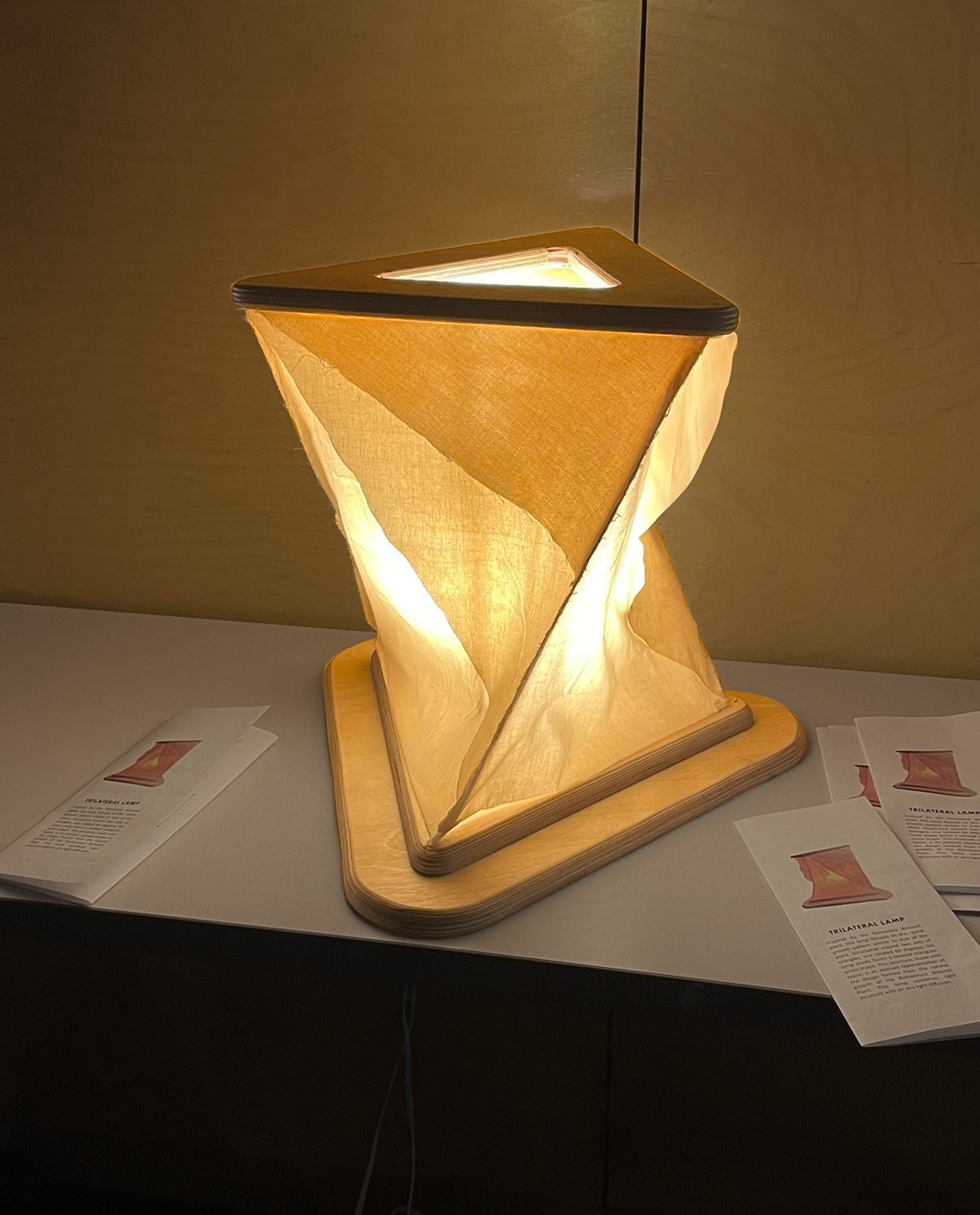 Lamp by Sophia Lammers