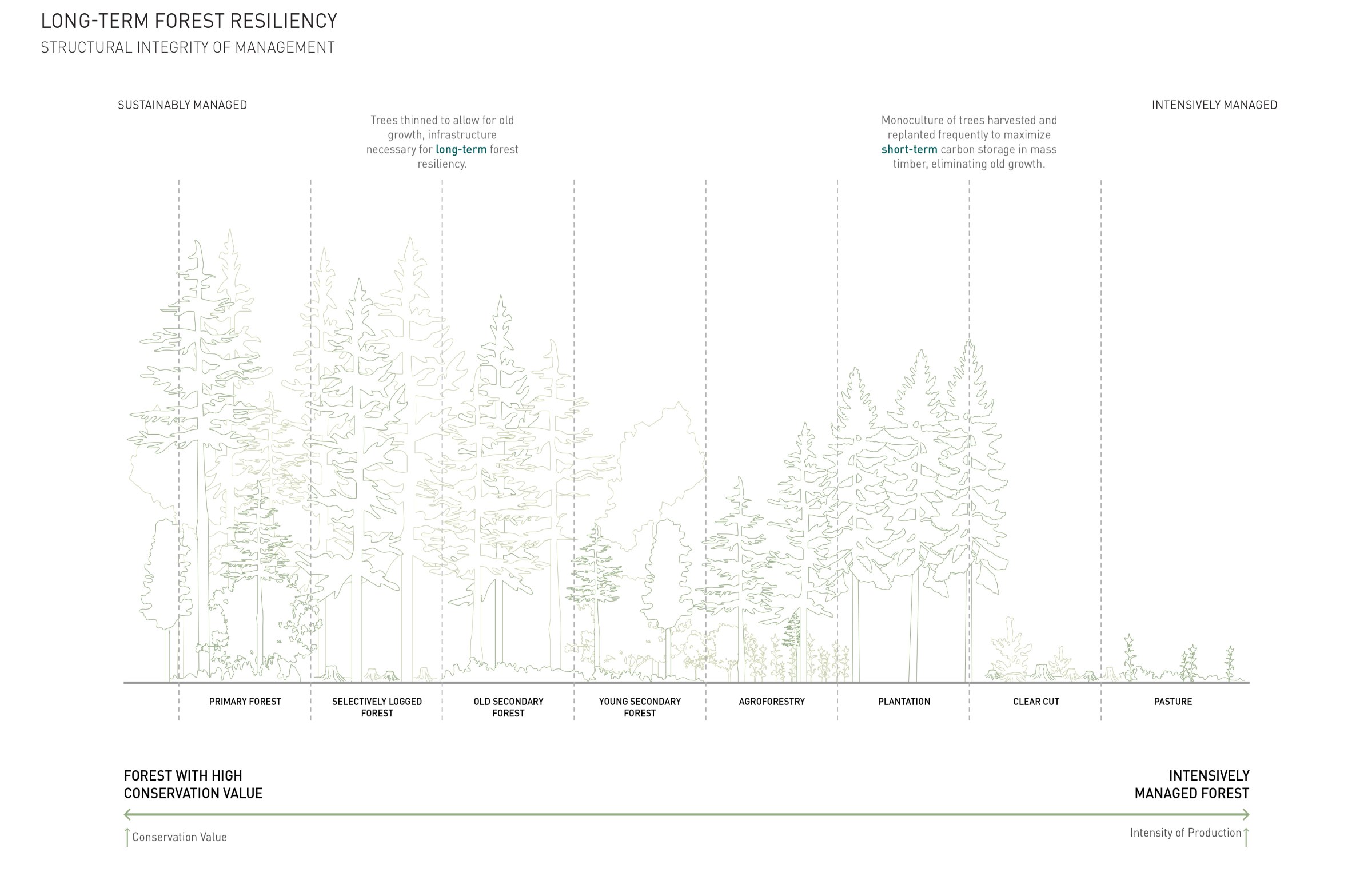 Benefits of Managed Forestry