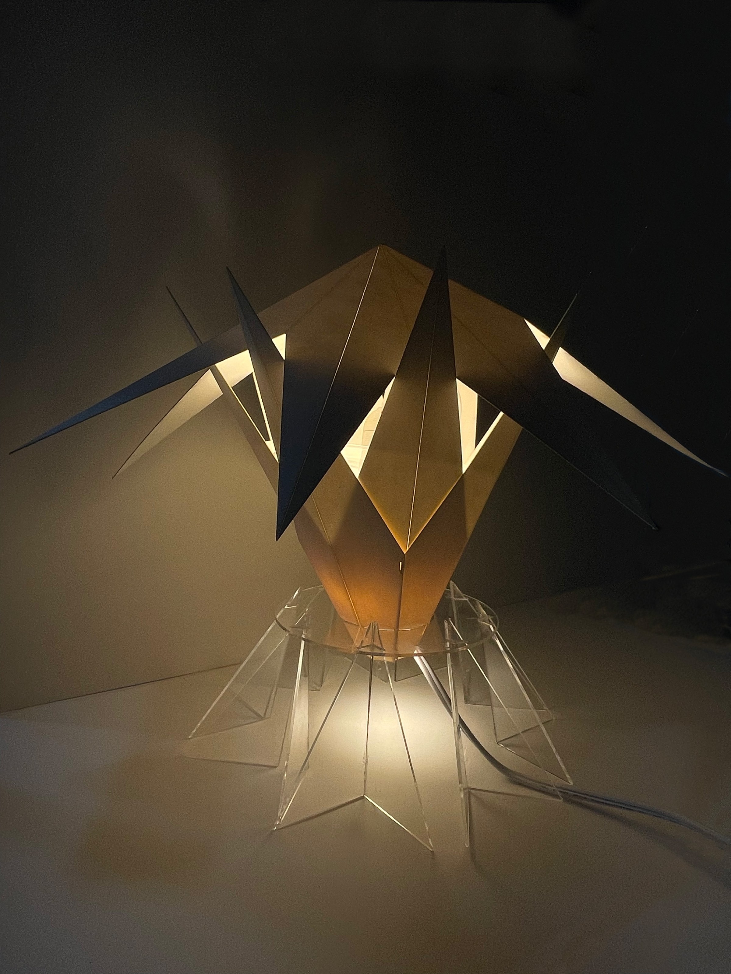 Lamp by Taylor Fishman