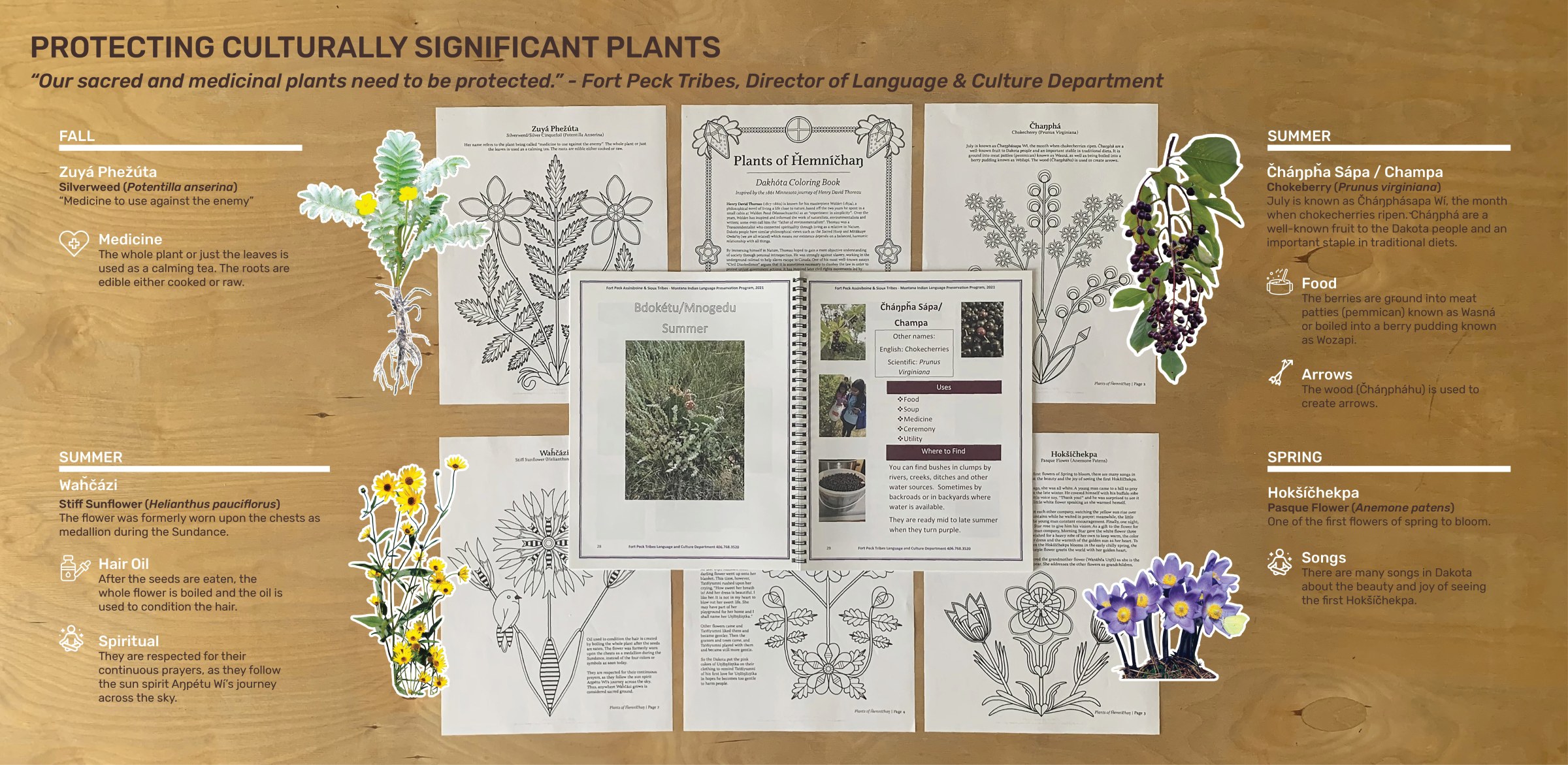 A graphic of culturally significant plants to protect.