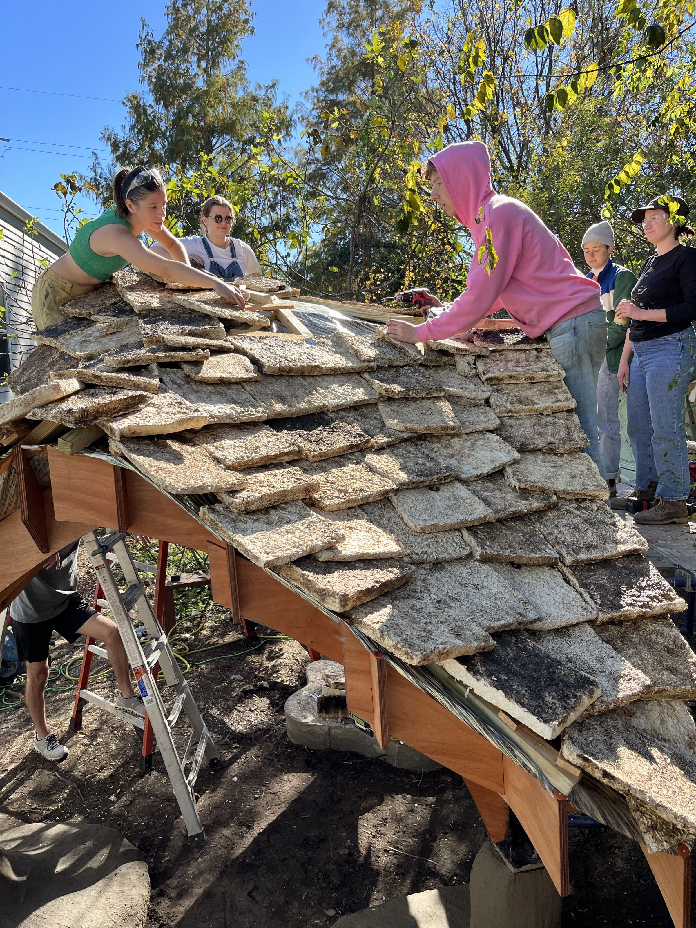 Student Placing Myceleum Shingles