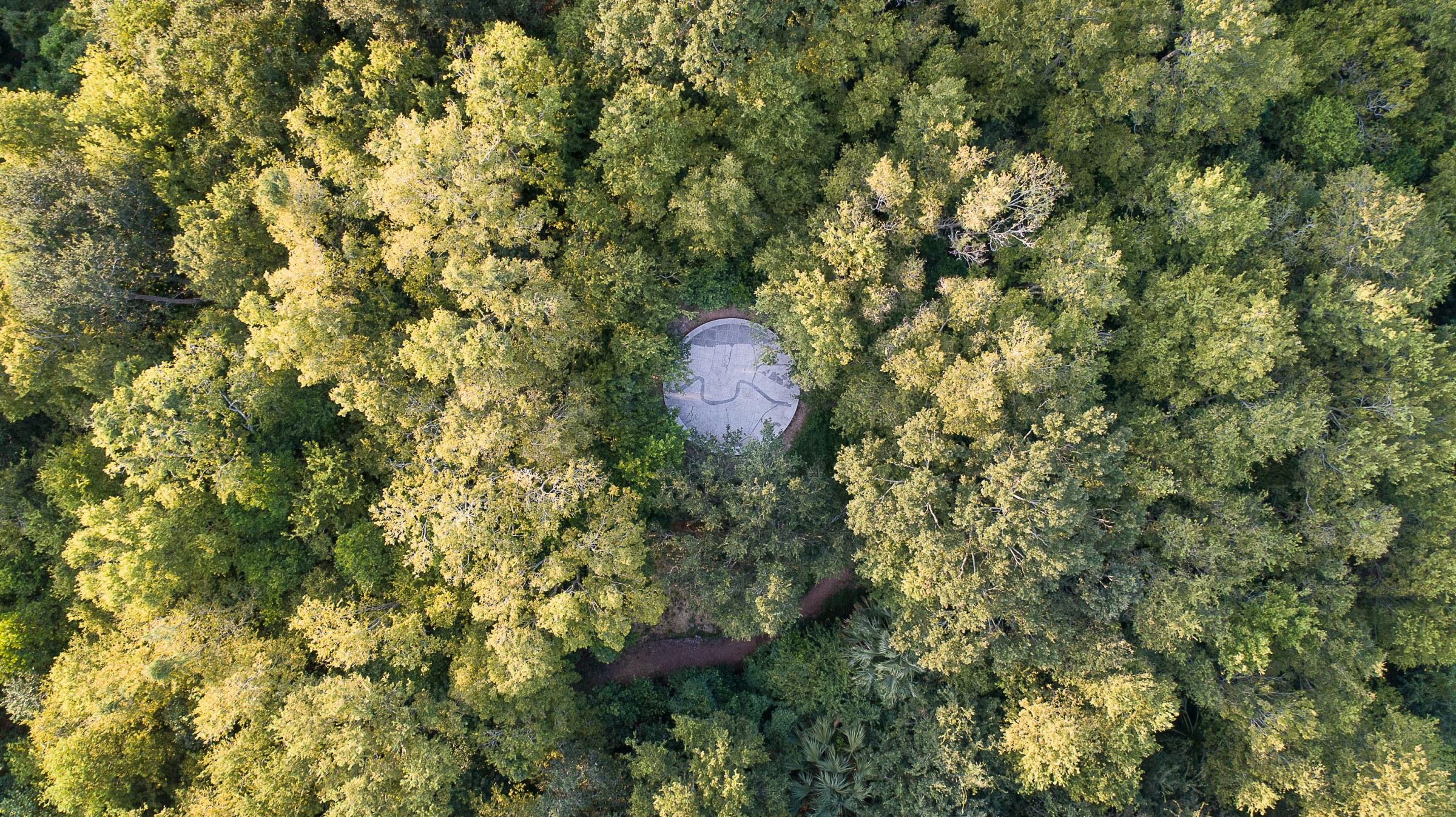 City park observatory from above, lots of greenery and trees