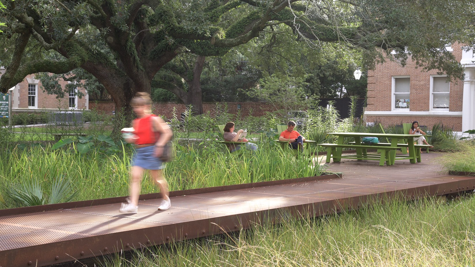 image of landscape and engineering project outside of stern hall on tulanes campus
