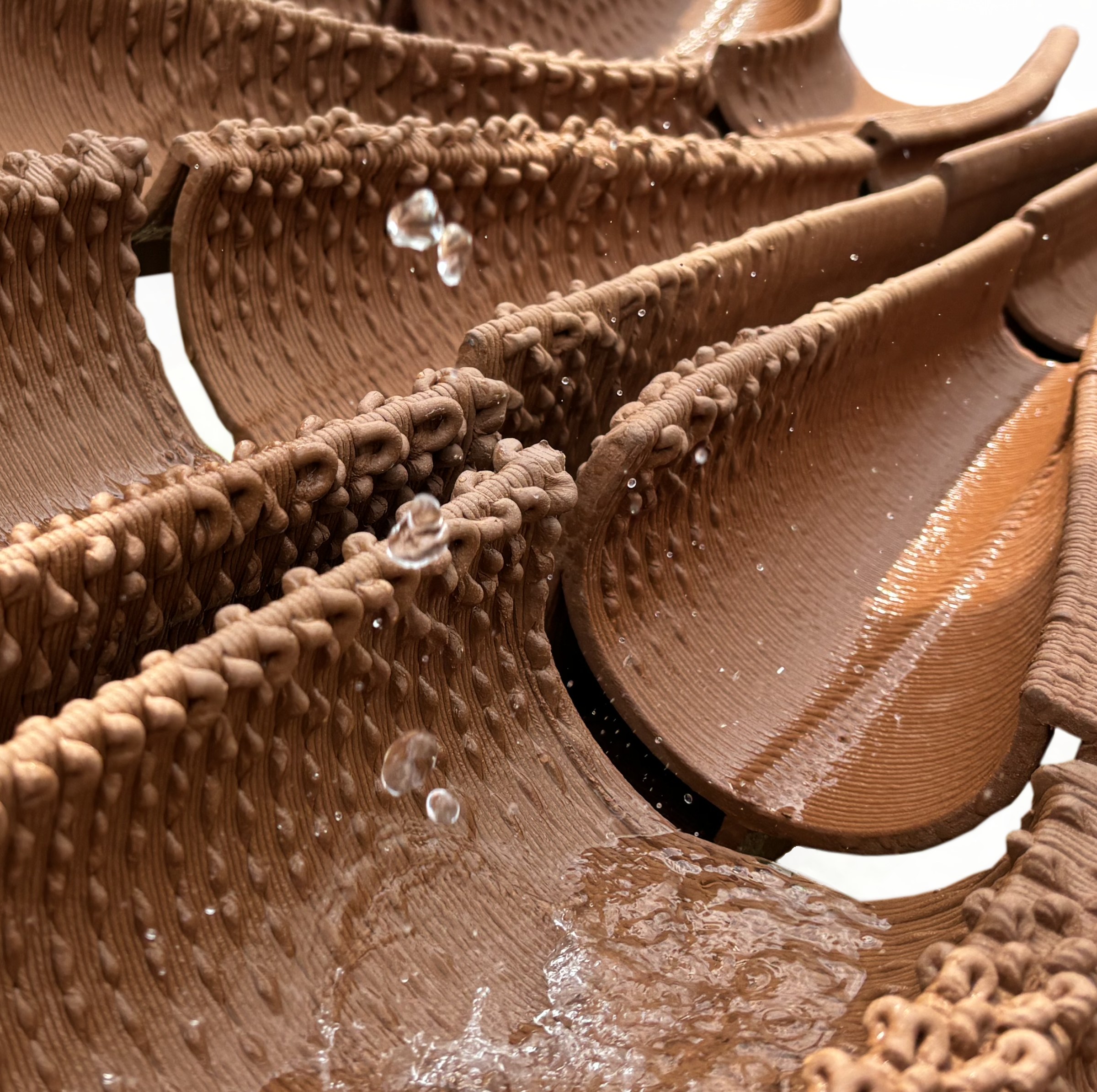 Ecological Tectonics