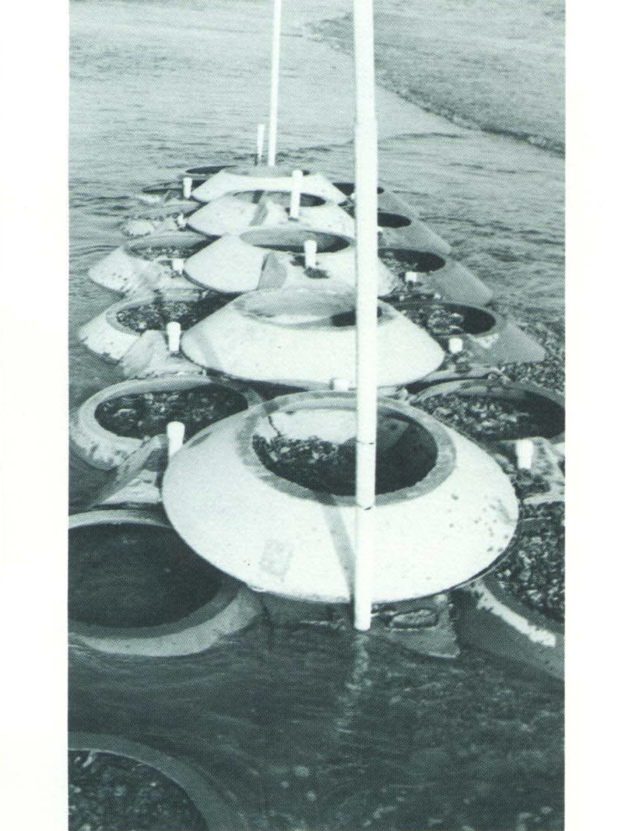 Image of William Mouton's beach cones in situ