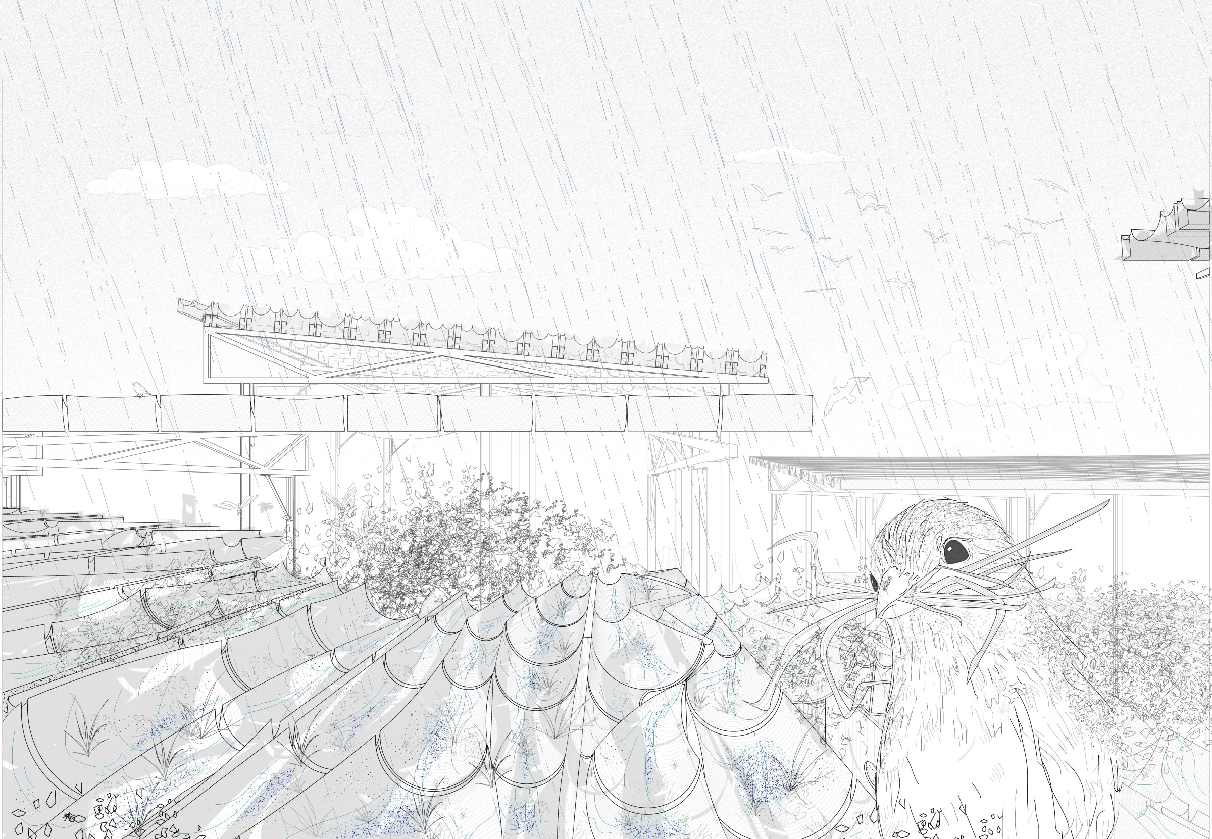 Ecological Tectonics Storm Water Shed