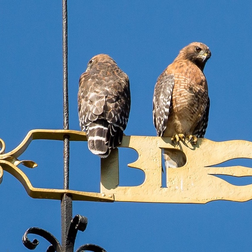Blacksmith Lecture Photo