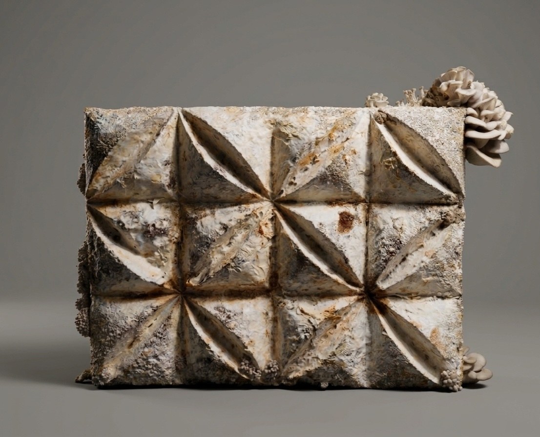 Panel of mycelium by Assia Crawford