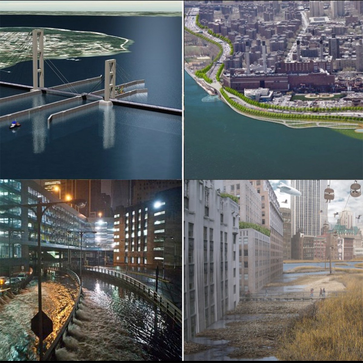Marina Alberti project